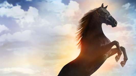 Flicka - Backdrops