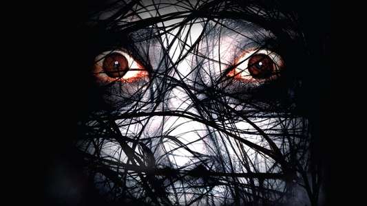 The Grudge 2 - Backdrop