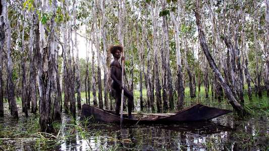 Ten Canoes - Backdrop