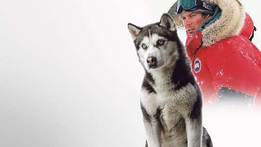 Eight Below - Backdrop