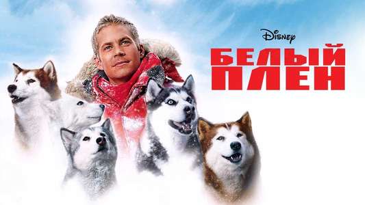 Eight Below - Backdrop