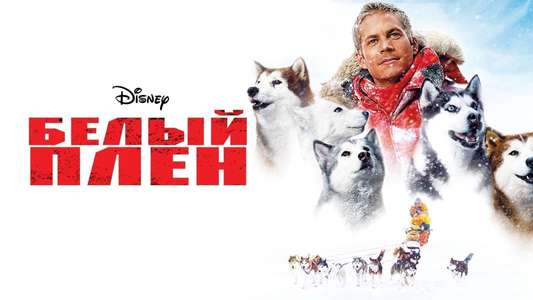 Eight Below - Backdrop