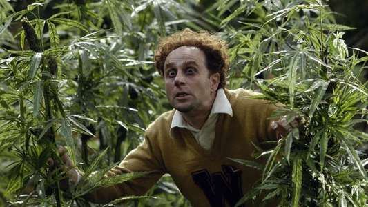 Reefer Madness: The Movie Musical - Backdrop