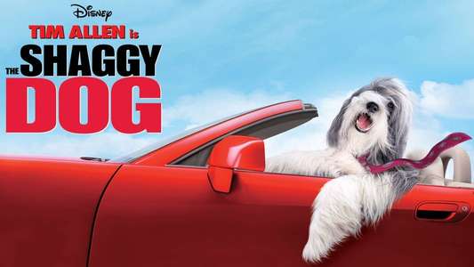 The Shaggy Dog - Backdrop