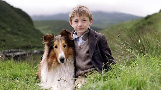 Lassie - Backdrop