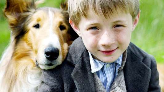 Lassie - Backdrop