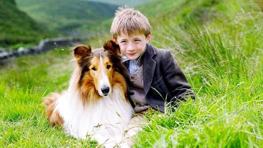 Lassie - Backdrop