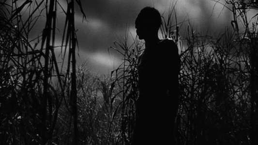 Shadows in the Dark: The Val Lewton Legacy - Backdrop