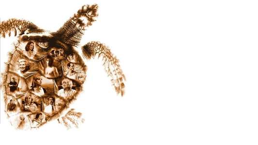 Loggerheads - Backdrop