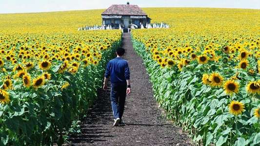 Everything is Illuminated - Backdrop