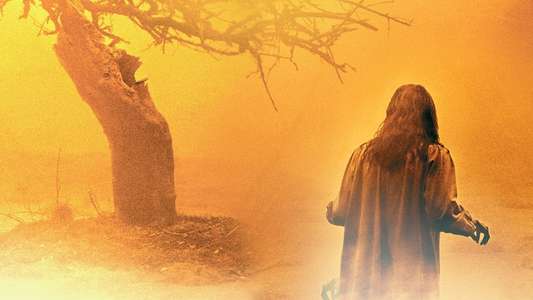 The Exorcism of Emily Rose - Backdrop