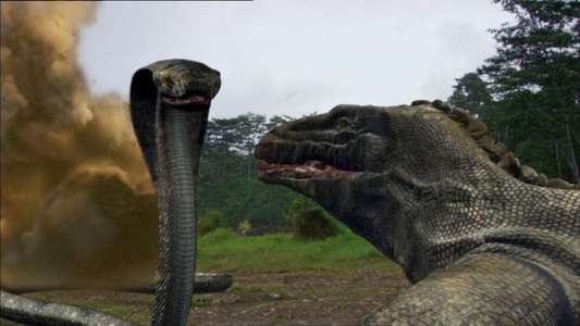 Komodo vs. Cobra - Backdrop