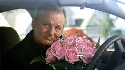 Broken Flowers - Backdrop