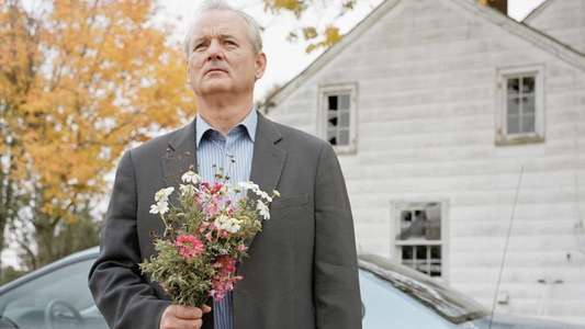 Broken Flowers - Backdrop