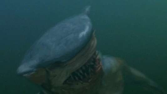 Hammerhead - Backdrop