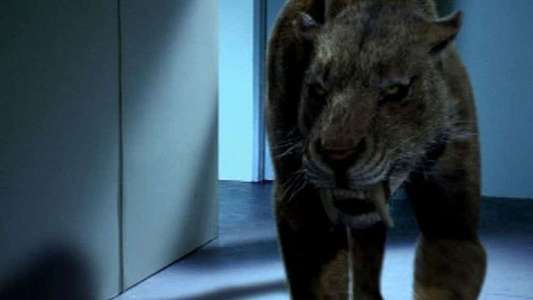 Attack of the Sabretooth - Backdrop