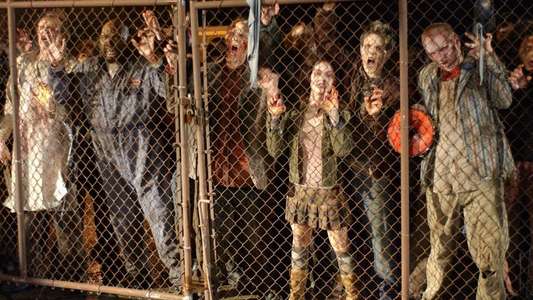 Land of the Dead - Backdrop