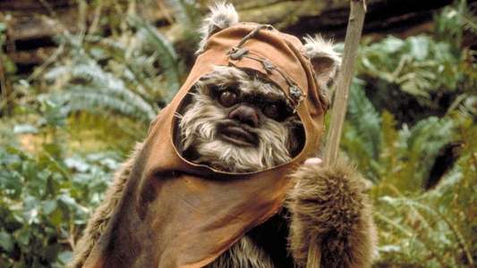 Ewoks: The Battle for Endor - Backdrop