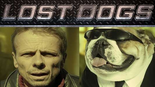 Lost Dogs - Backdrop