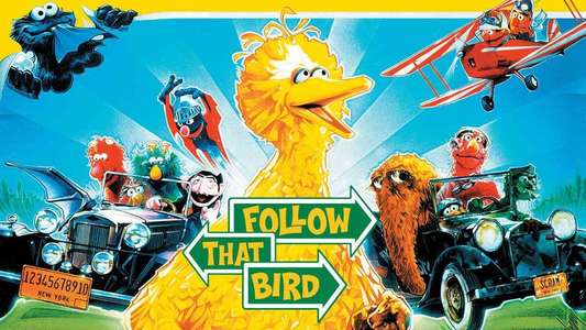 Follow That Bird - Backdrop