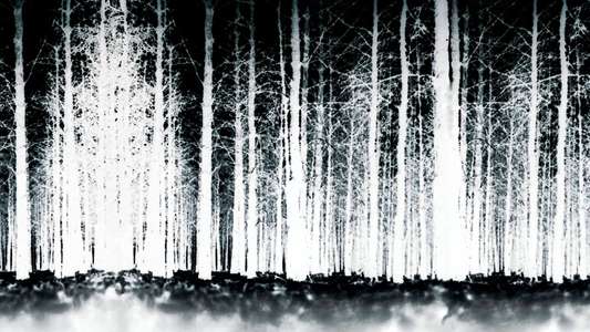 The Blair Witch Project - Backdrop