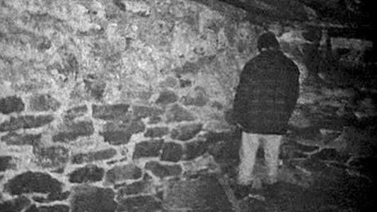 The Blair Witch Project - Backdrop