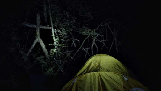 The Blair Witch Project - Backdrop