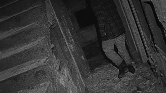 The Blair Witch Project - Backdrop