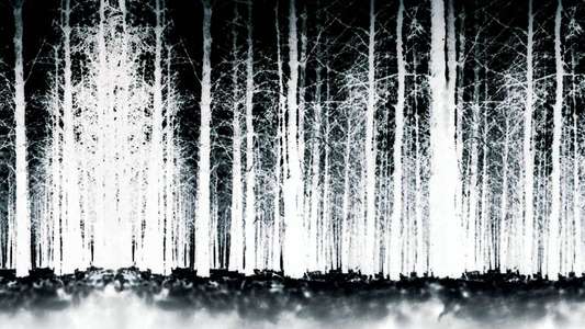 The Blair Witch Project - Backdrop