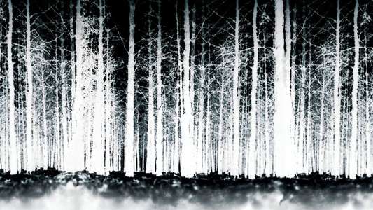 The Blair Witch Project - Backdrop