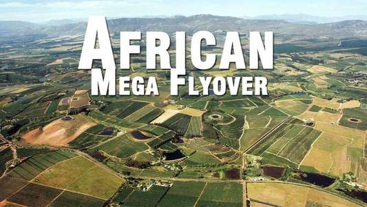 African Megaflyover - Backdrop