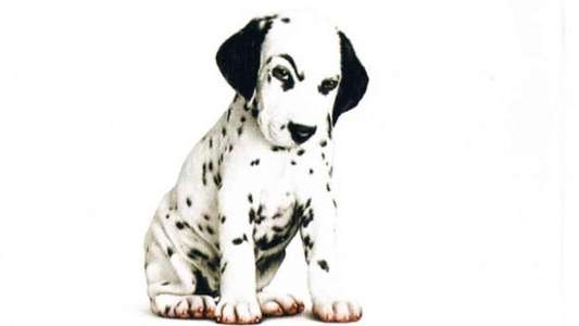 102 Dalmatians - Backdrop