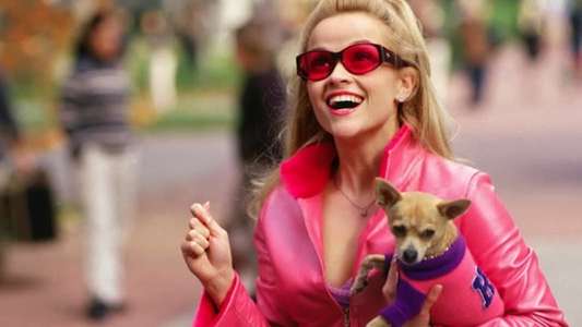 Legally Blonde - Backdrop