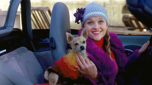 Legally Blonde - Backdrop