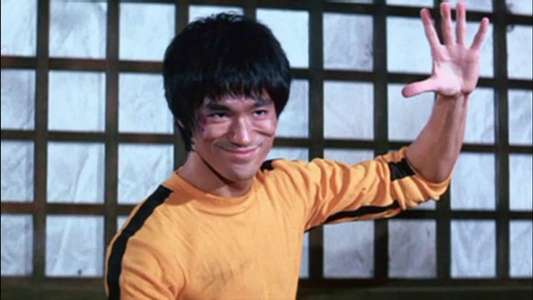 Bruce Lee: A Warrior's Journey - Backdrop