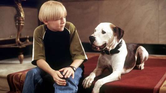 The Pooch and the Pauper - Backdrop