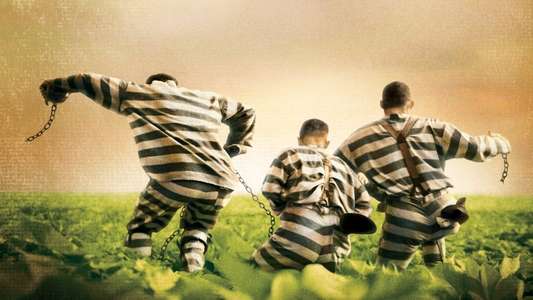 O Brother  Where Art Thou? - Backdrop
