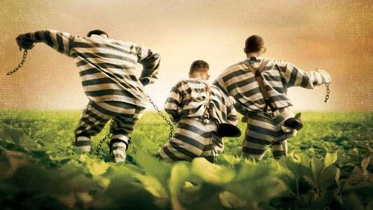 O Brother  Where Art Thou? - Backdrop