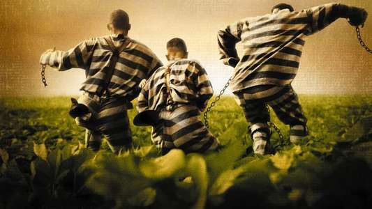 O Brother  Where Art Thou? - Backdrop