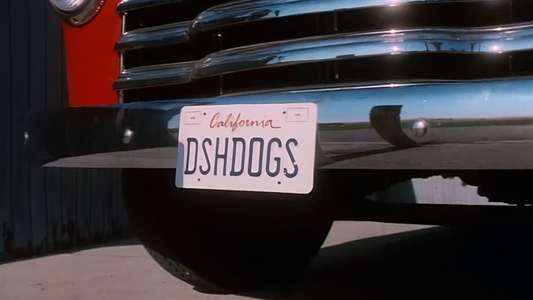 Dish Dogs - Backdrop
