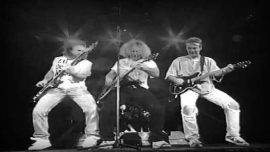 Van Halen: Live in Florida - Backdrop