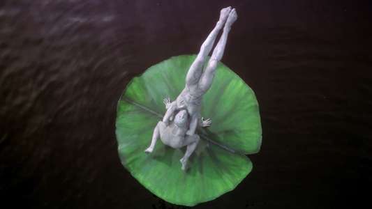 Cirque du Soleil: Journey of Man - Backdrop