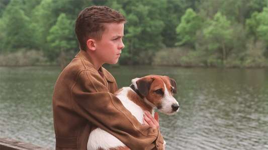 My Dog Skip - Backdrop