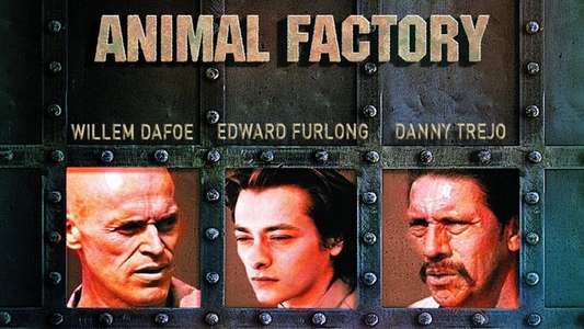 Animal Factory - Backdrop