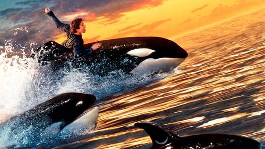 Free Willy 2 - The Adventure Home - Backdrop