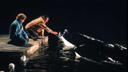 Free Willy 2 - The Adventure Home - Backdrop