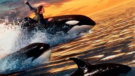 Free Willy 2 - The Adventure Home - Backdrop
