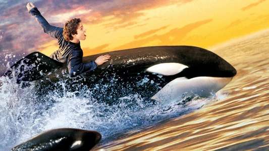 Free Willy 2 - The Adventure Home - Backdrop