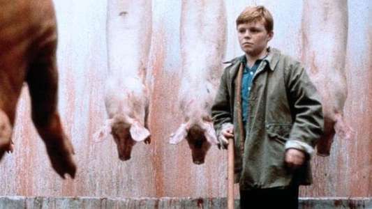 The Butcher Boy - Backdrop