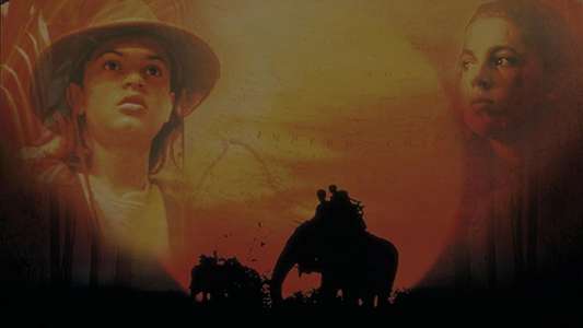 The Jungle Book: Search for the Lost Treasure - Backdrop